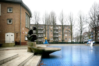 Image related to the article