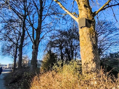 Mysterie: hiervoor zijn de zwarte kasten in de bomen achter het station
