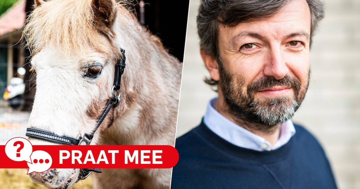 Meer opvang voor dieren, wil de Partij voor de Dieren: wat vind jij?