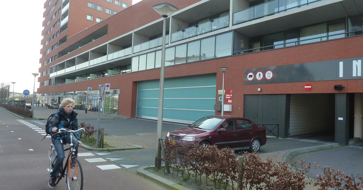 Ondernemers in Hendrik-Ido-Ambacht pleiten voor structurele koopzondag