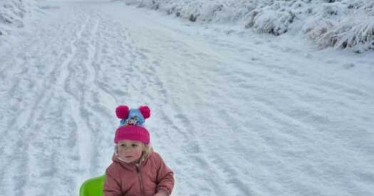 Winterprik zorgt voor sprookjesachtig sneeuwtapijt op Kalmthoutse Heide