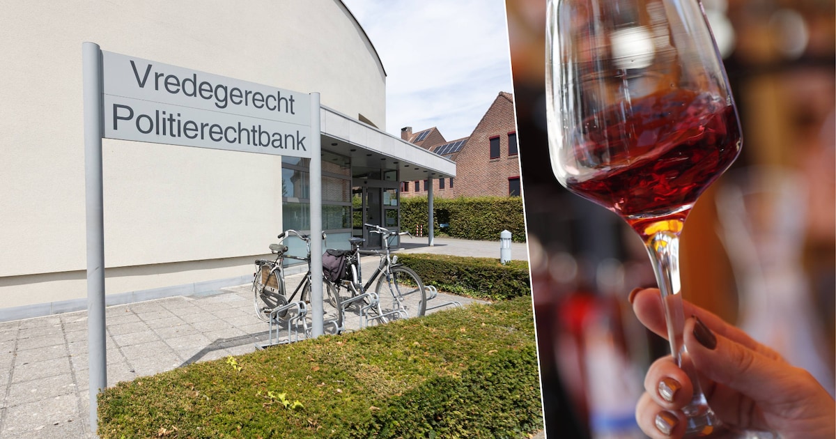 Vrouw botst onder invloed tegen verlichtingspaal in Lommel: “Mijn vader stierf, mijn man kreeg kanke