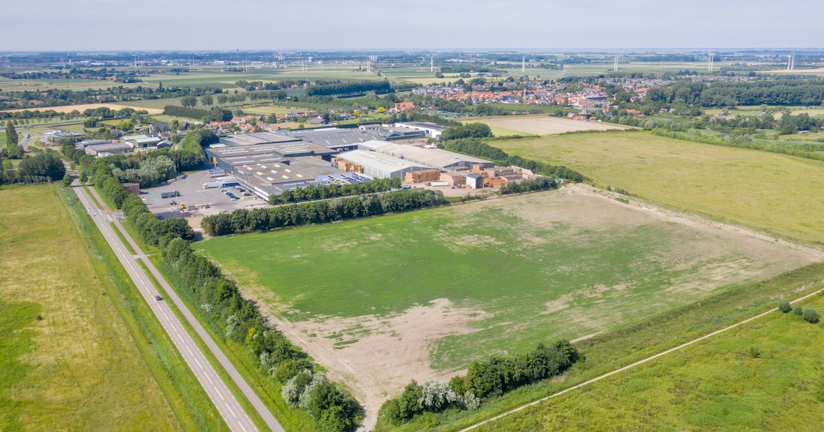 Wethouder blij met ‘uniek plan’ voor veelbesproken uitbreiding uienbedrijf ’s-Gravenpolder