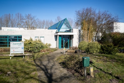 Image related to the article