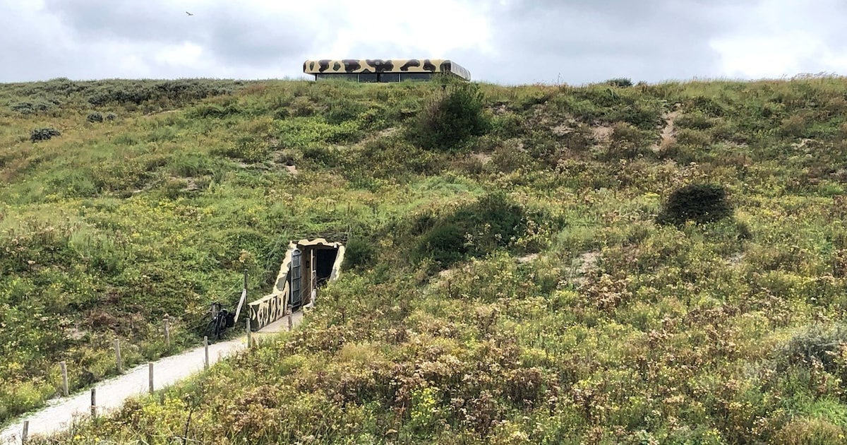 Bunkerdag: deze bunkers in de buurt van Vlaardingen openen binnenkort hun deuren