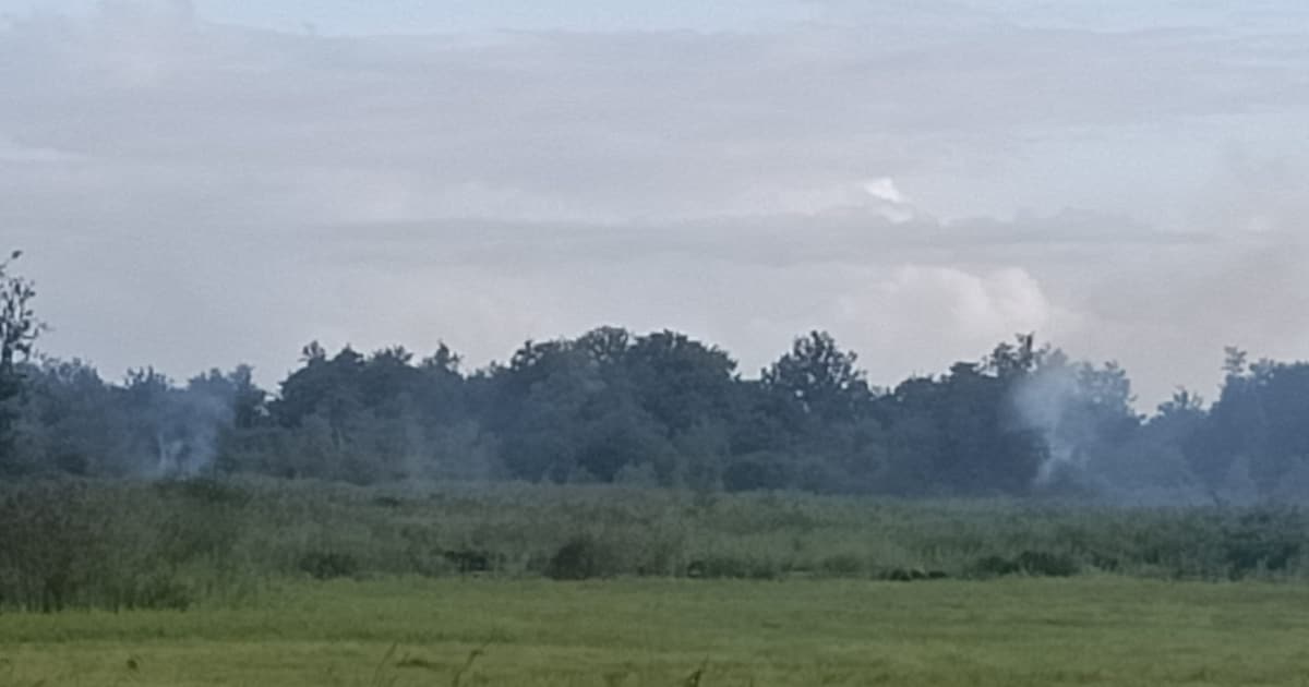 Veertig meldingen over stank in Zwolle, Olst en Wijhe: oorzaak gevonden in de Weerribben