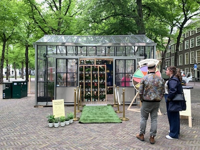 In deze groene kas op het Lange Voorhout neem je gratis een kijkje