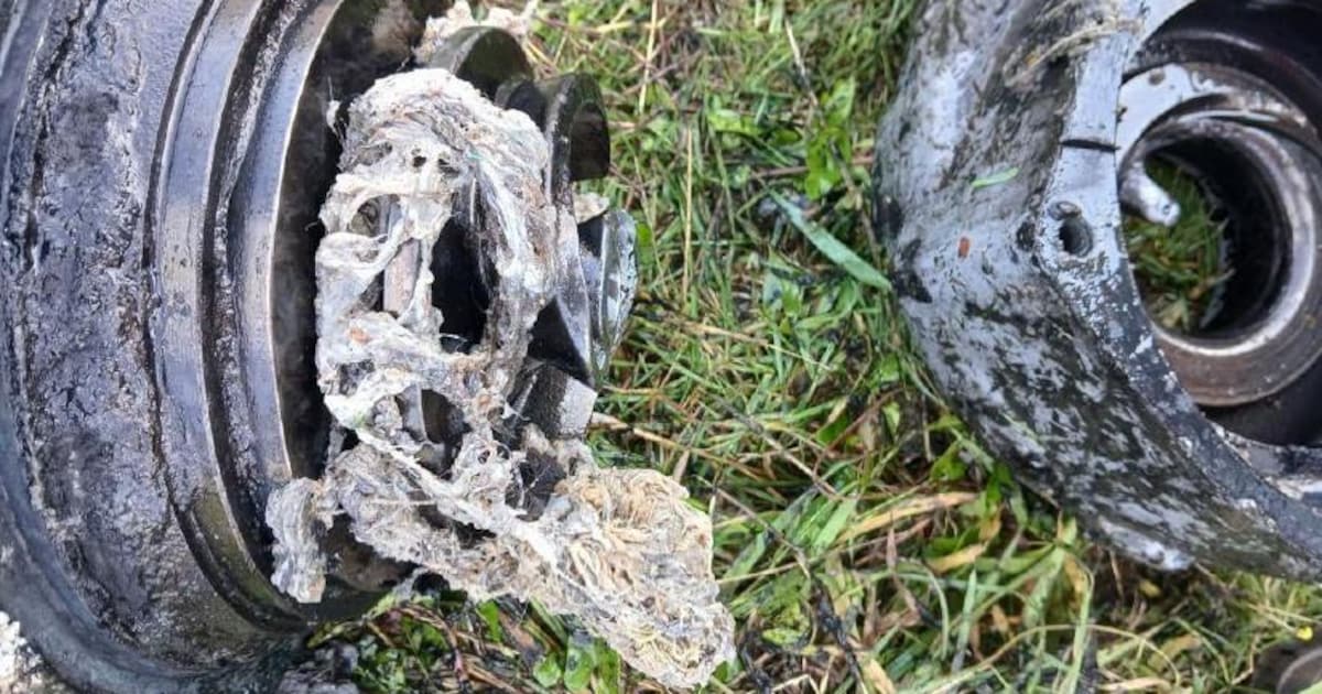 Dringende oproep gemeente Edam-Volendam: ‘Spoel geen natte schoonmaakdoekjes door de wc’