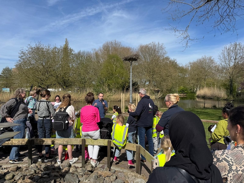 Raadslid Niels van Santen en Piet van Andel van de Ooievaarsopvang Herwijnen hebben het nest woensdag feestelijk geopend.