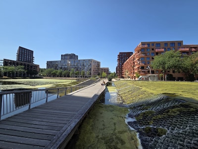 Hofvijver in Den Bosch nog altijd een groene soep: pomp kan niet aan door droogte