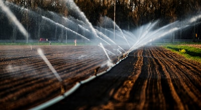 Image related to the article