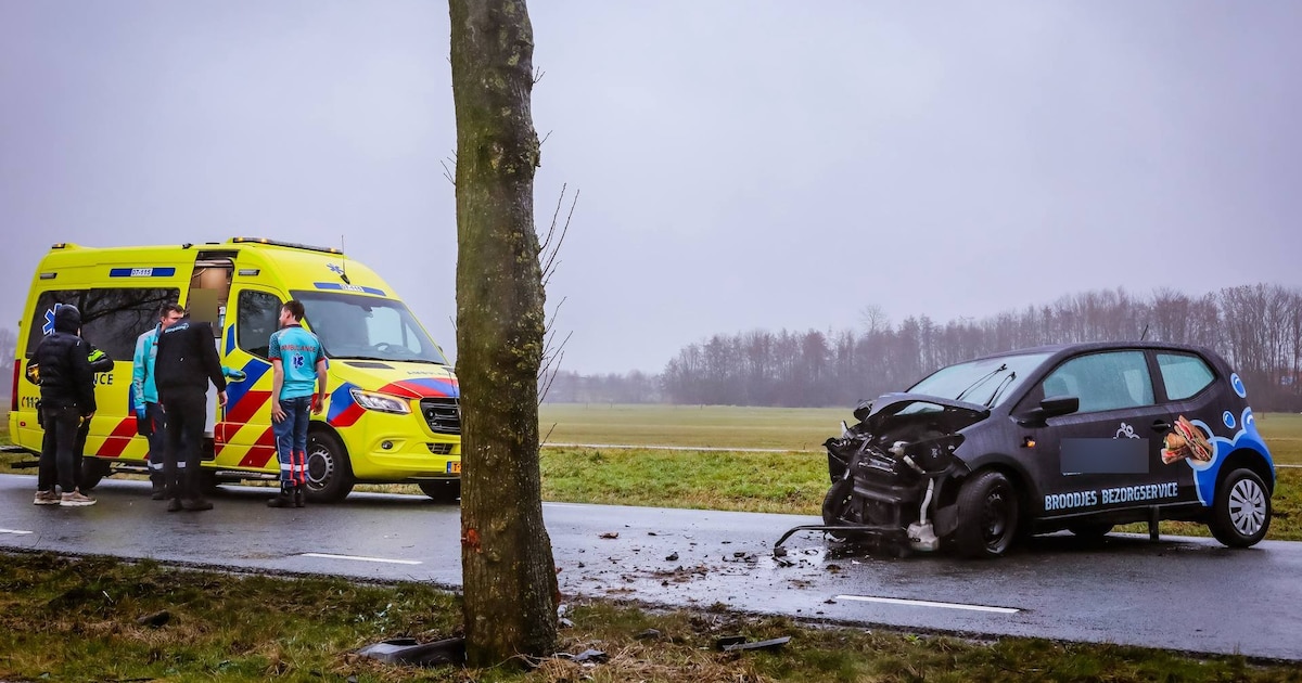 Auto botst frontaal tegen boom in Nijkerk: bestuurder komt met de schrik vrij