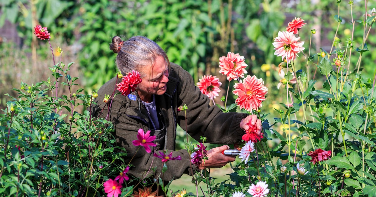 Vrijwilligers gezocht voor Landgoed Mookerheide in Molenhoek