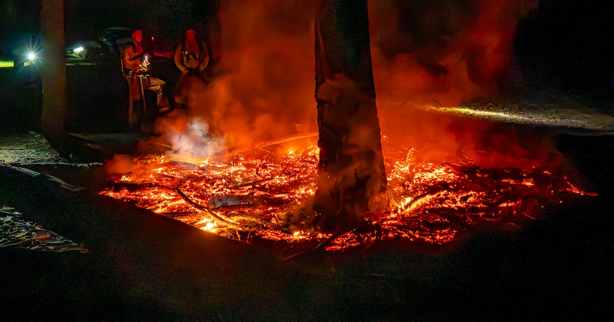 Jongens waarschuwen brandweer voor bosbrand in Helmond, brand snel onder controle