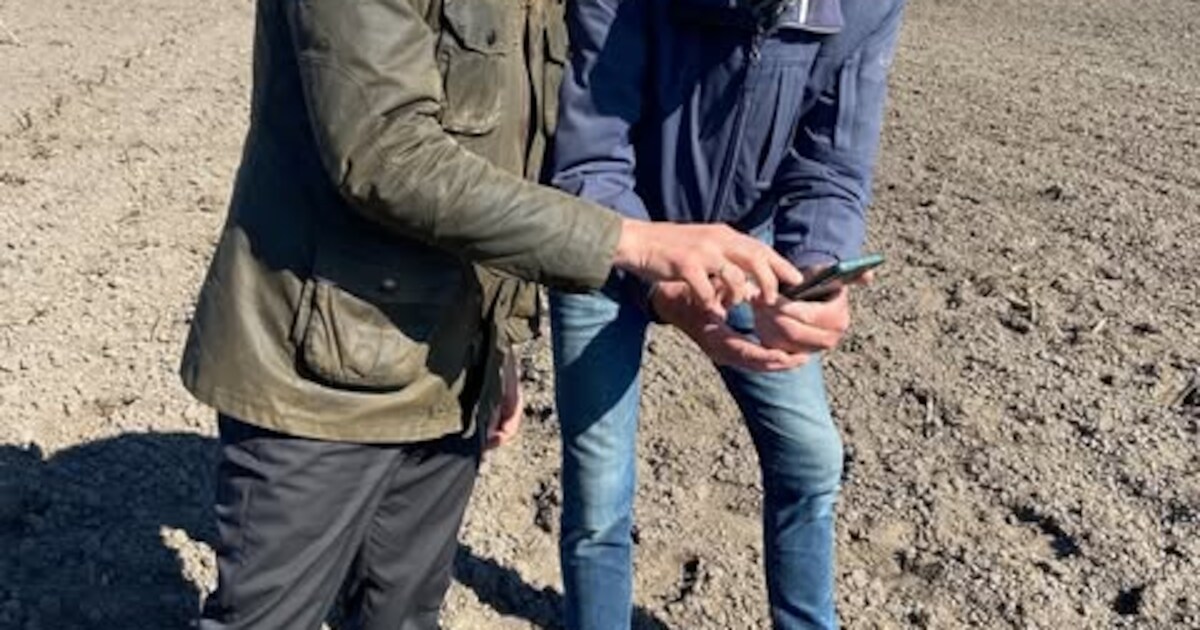 Eerste kievitsei van dit jaar gevonden in Achterberg | Rhenen