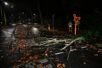 Omgevallen boom blokkeert fietspad en voetgangersoversteekplaats in Berkel-Enschot