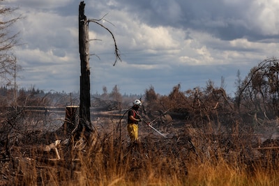 Het is gelukt! Brand in de Hoge Venen na week lang van enorme inzet geblust