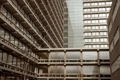 Image related to the article