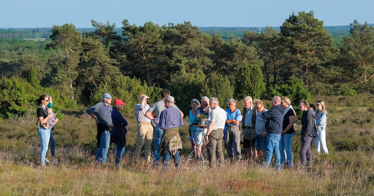 Wandeling over de Lemelerberg langs heide, grafheuvels en vergezichten