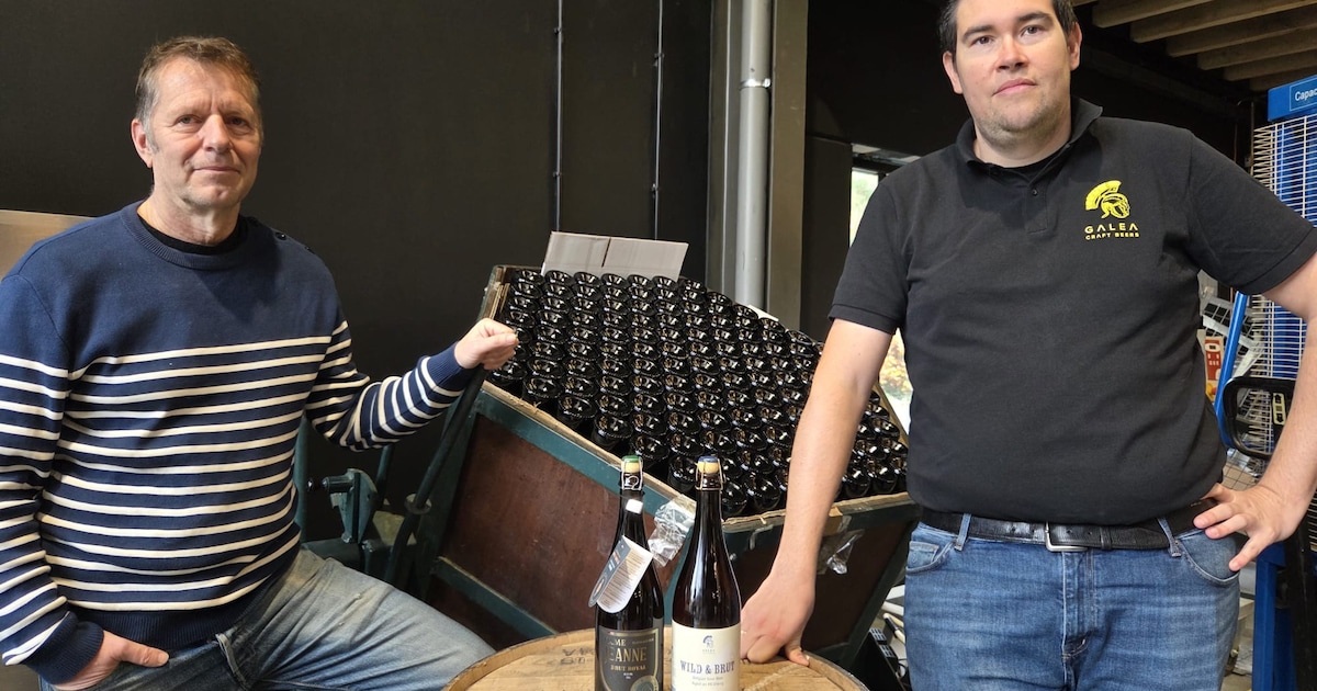 Galea en Dame Jeannen verhuizen samen naar Kalmthout: “Samenwerking is gegroeid vanuit wederzijds re