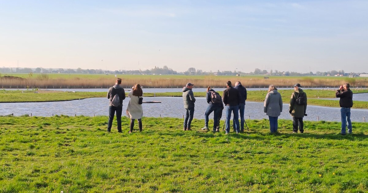 Gratis weidevogelexcursies in Midden-Delfland
