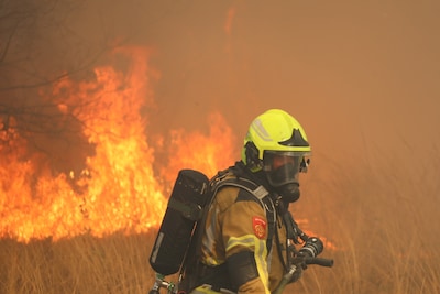 Waarom duinbranden zo moeilijk te bestrijden zijn: ‘Op een gegeven moment niet meer tegen te houden’
