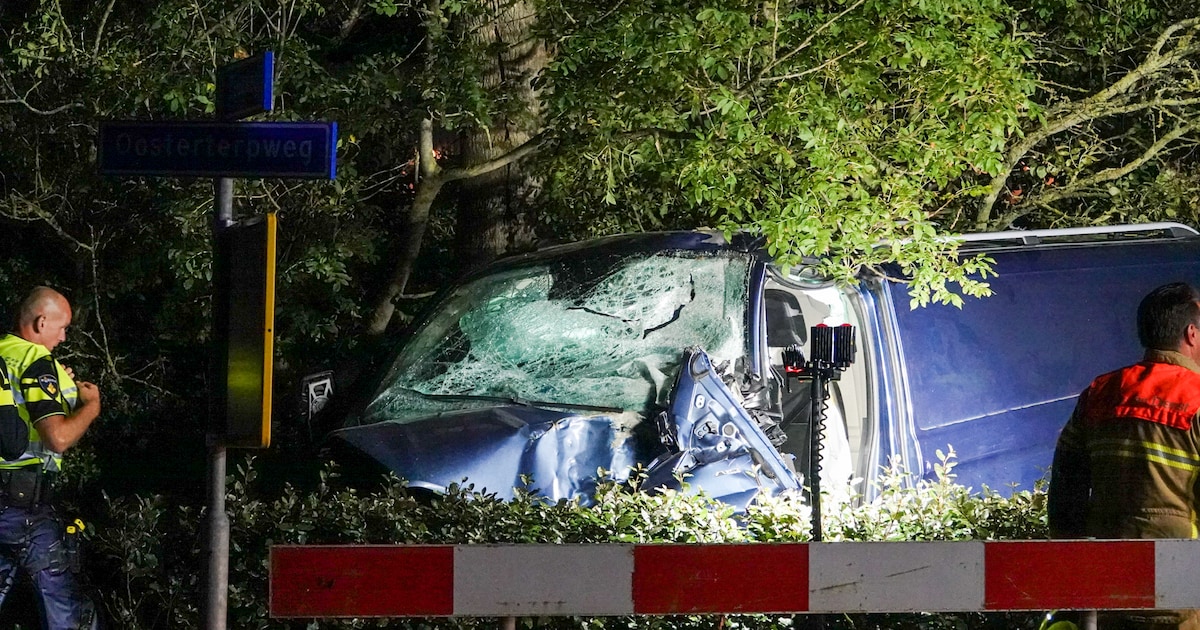 Bestelbus botst hard tegen boom in Wieringerwerf, bestuurder zwaargewond