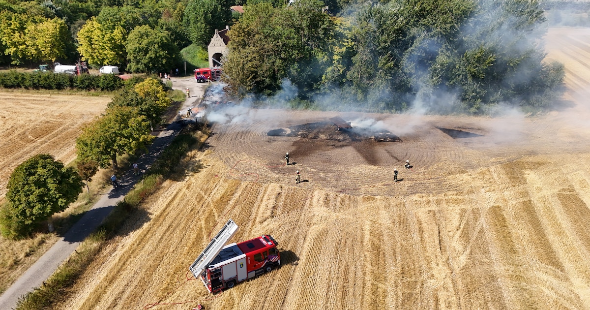 Akker in Sexbierum in brand