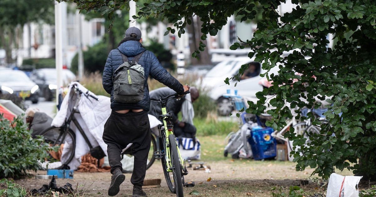 Miljoenen om daklozen van straat te halen in Nijmegen: extra opvang en acties tegen overlast