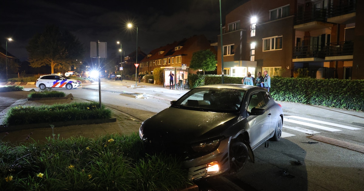 Bestuurder rijdt onder invloed verkeerspaal uit de grond aan de Hoge Rijndijk
