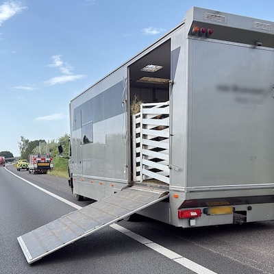 Pech met paardentrailer zorgt voor file op A50 richting Oss