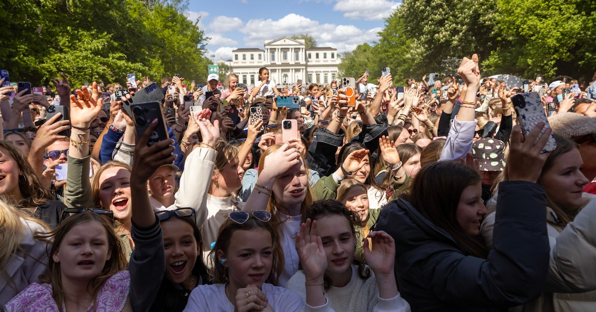 Bevrijdingspop in Haarlem 2026: dit moet je weten