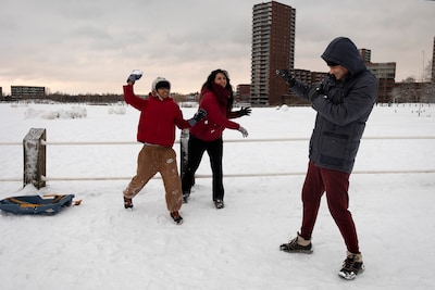 Image related to the article