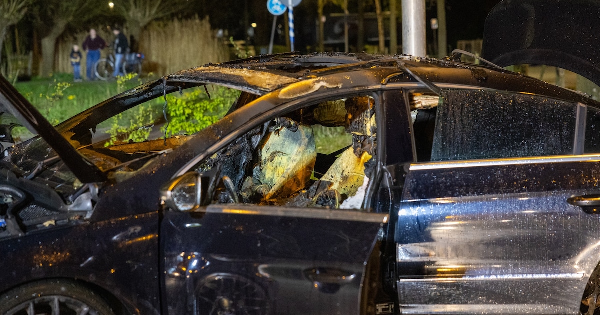 Auto volledig uitgebrand in Maasland