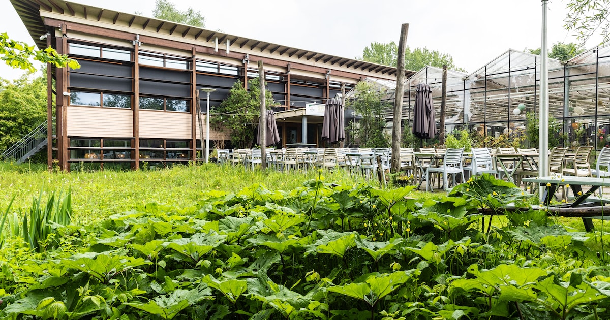 Twee Zutphense scholen mogen naar dit groene park, ‘maar niet bovenop de orchideeën’