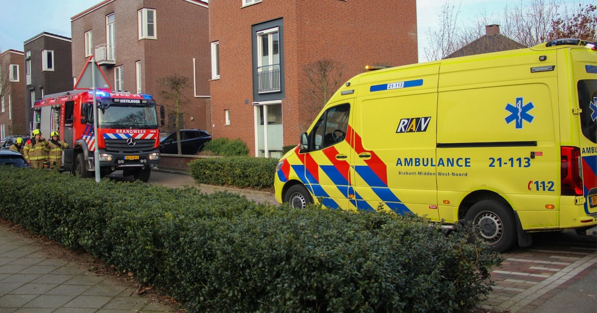 Ongeluk bij snoeien in Heesch, slachtoffer naar ziekenhuis