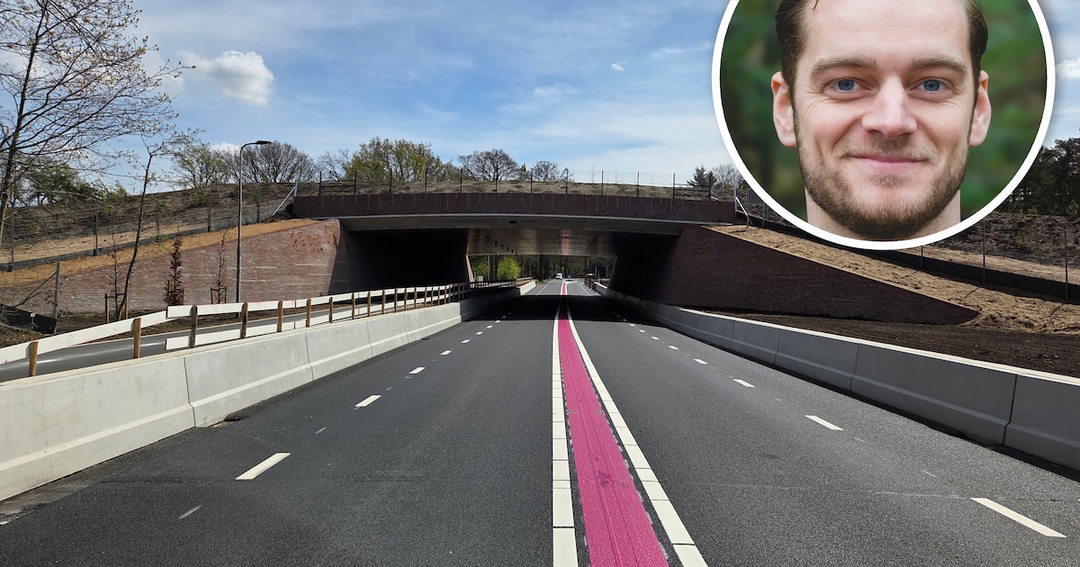 Nieuw ecoduct: van vlinder en ree tot das veilig de N226 over ...