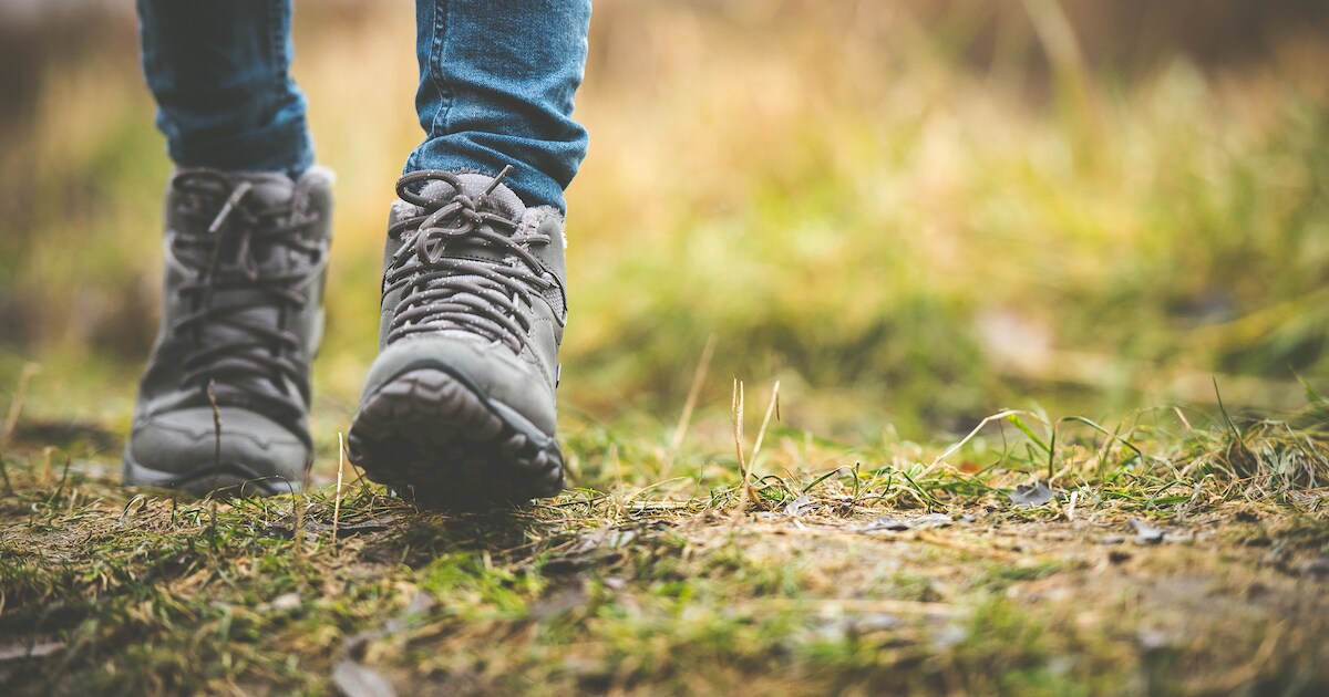 Stinzenwandeling in Beek
