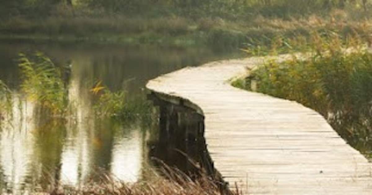 Vlonderbruggen in Schutterspark Brunssum geopend