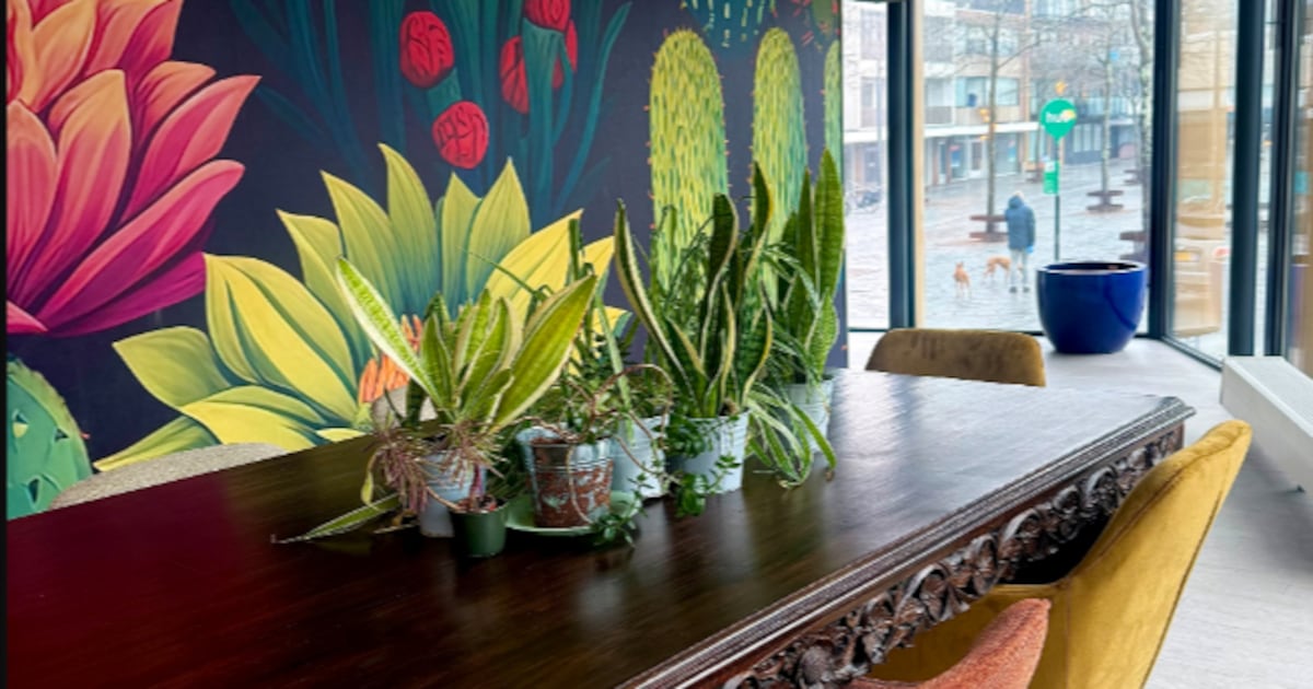 Buurtteams Vlissingen opent nieuwe locatie De Schutterij