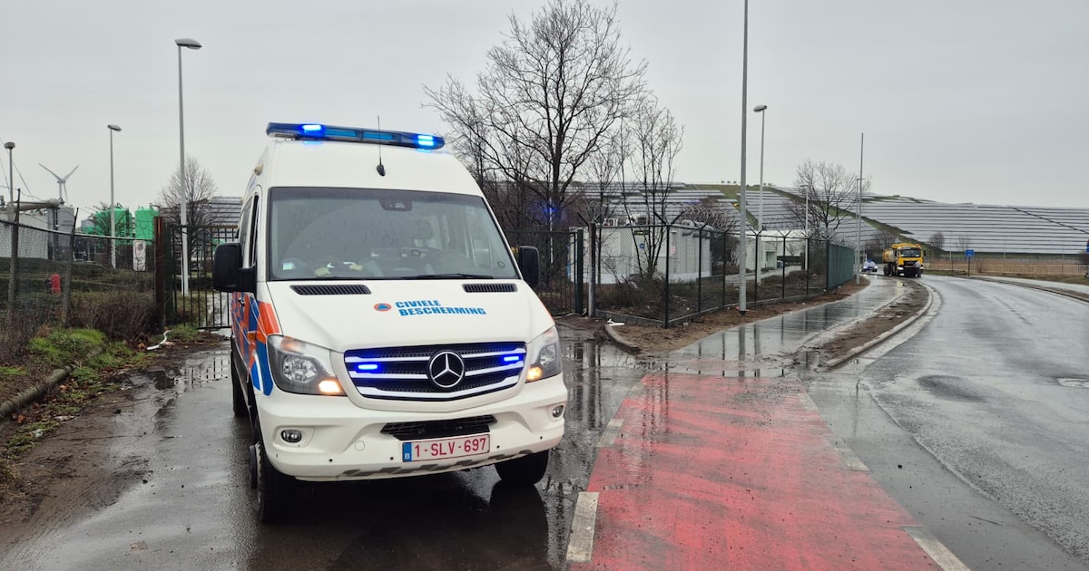 Wagen die in het water reed in Antwerpse haven geborgen: Cel Vermiste Personen zoekt verder naar lic
