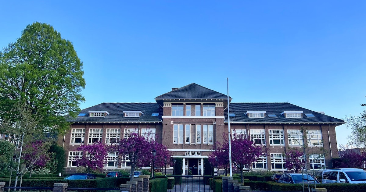 Terug naar de schoolbanken: in dit appartement slaap je misschien in de oude gymzaal