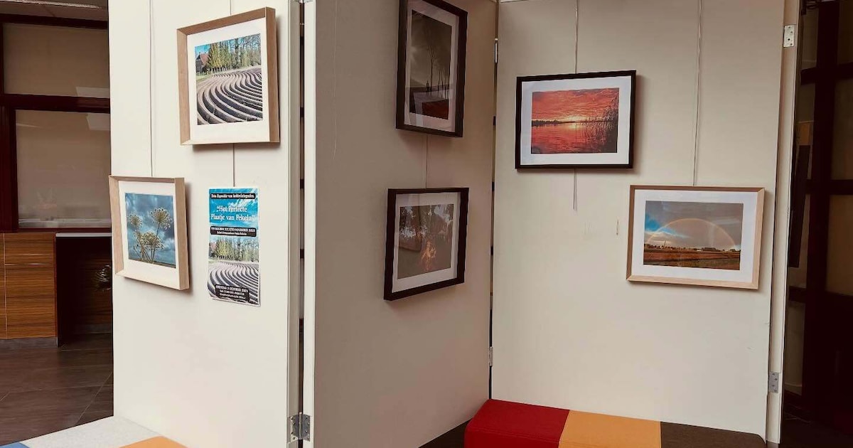 Beelden van Pekela te zien bij expositie Het Perfecte Plaatje