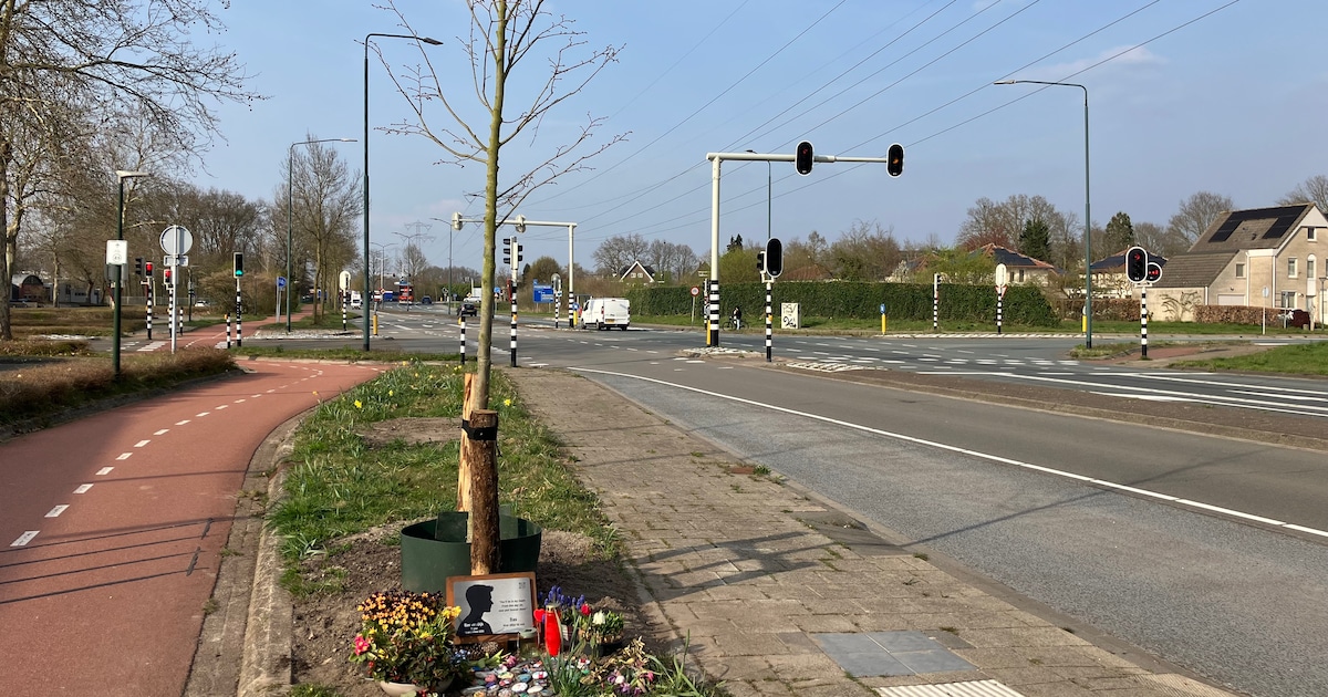 Herinneringsboom aan Gijzenrooiseweg voor Bas
