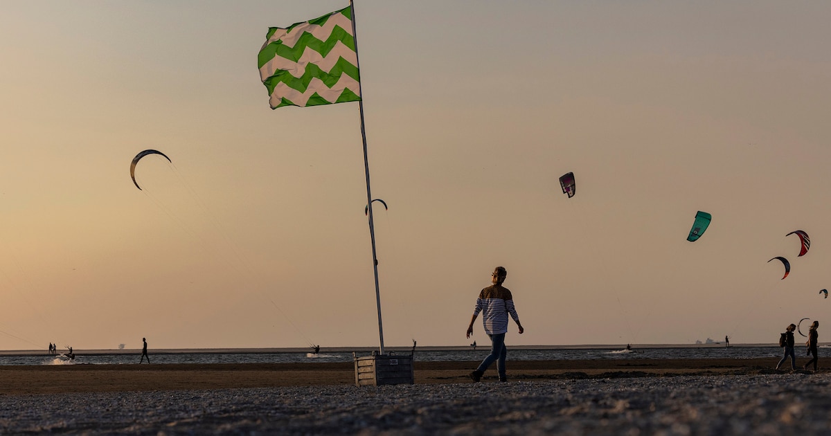 Excursie Zandmotor: ontdek planten, dieren en ontstaan van uniek waterstaatwerk