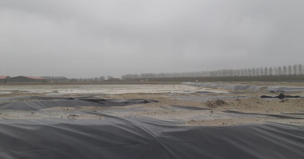 VVD wil weten of er nog gif van staalslakken in grond en water bij Oude-Tonge zit