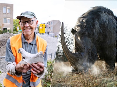 Frank (79) vindt tijdens wieden van onkruid eeuwenoud fossiel: ‘Ik dacht eerst aan een mammoet’