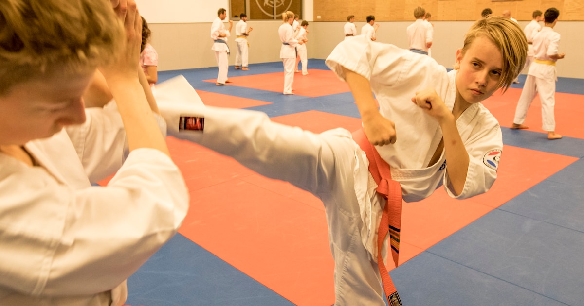 Karateclinic voor basisschoolkinderen in Lopik