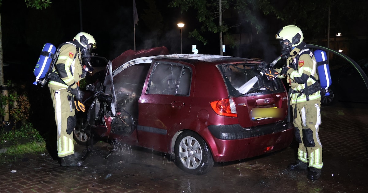 Twee auto's beschadigd bij vermoedelijke brandstichting in Leusden