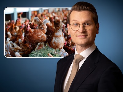 Image related to the article